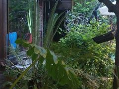 -吃货私房菜(丽江束河古镇店)