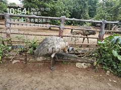 -海南热带野生动植物园