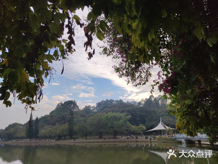 南国桃园旅游度假区图片