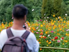 -贵阳市花溪国家城市湿地公园