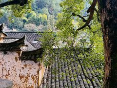 -杨家堂村