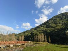 -广州市石门国家森林公园