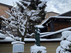 -医王山·飞騨国分寺