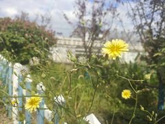 -乡乐园蟹庄·阳澄湖农家乐