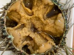 -海胆小馆(东北水饺·春柳店)