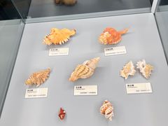 -天津古林古海岸遗迹博物馆