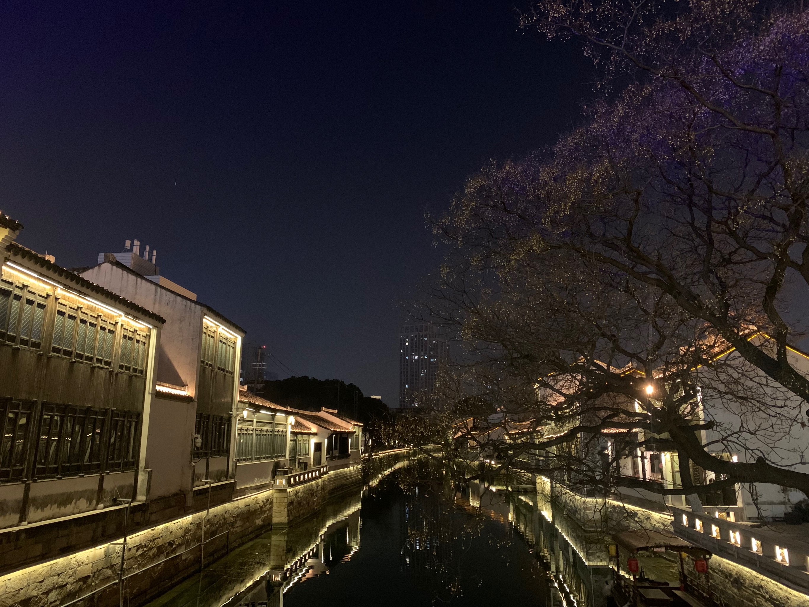 青果巷夜景图片