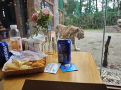 -上海野生动物园老虎餐厅