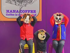 -HANA COFFEE(长寿路店)