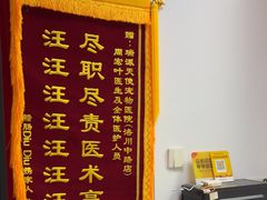 -瑞派天使宠物医院·神经外科·骨科·核磁CT(洛川中路店)