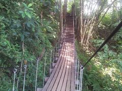 -清迈丛林飞跃 JungleFlight