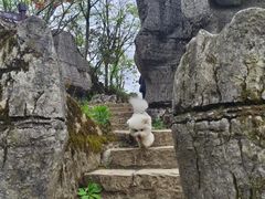 -山王坪喀斯特国家生态公园