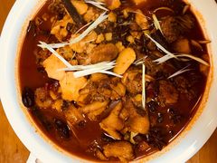 -尕胡才炕锅烤羊肉馆(八一路店)