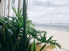 -Seesaw Coffee(朝阳大悦城店)