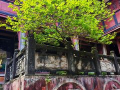 -都江堰普照寺