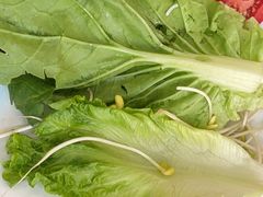 -菌乡缘·野生菌蒸汽鱼火锅(江边夜市店)