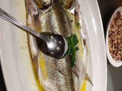 -四季厨房 鲁菜·孔府烤鸭(二环南路店)