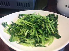 清炒鸡毛菜-集贤门·徽菜(南山店)