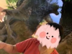 -沈阳龙润夏宫温泉水乐园