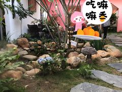 -菌林天下·野生菌汤锅