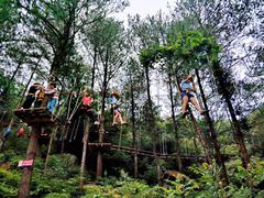 -梦幻奥陶纪景区