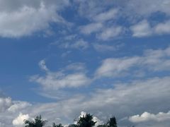 -呼兰河口湿地公园