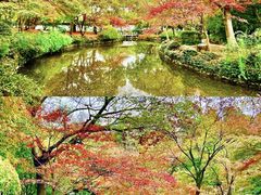 -秋霞圃