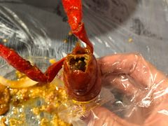 -虎虎龙虾大排档(双井店)
