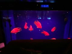 -柒Lounge(三里屯店)