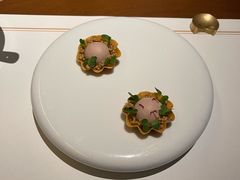 -觀芷隐轩