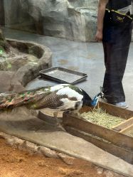 -Zoolung Zoolung动物主题公园(海信广场店)