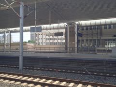 -塘沽站