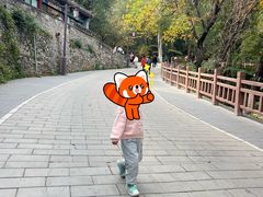 -云岗森林公园