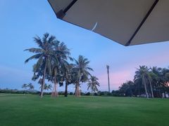 -宴悦海鲜餐厅·游水海鲜·牛排(亚龙湾瑞吉店)