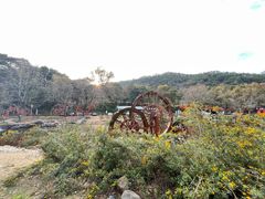 -广州市石门国家森林公园