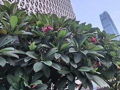 -民盈·国贸城