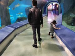 -福州罗源湾海洋世界旅游区