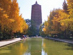 -玲珑塔公园