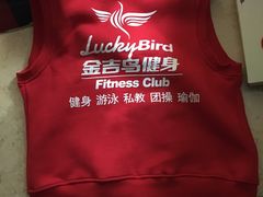 -金吉鸟健身游泳