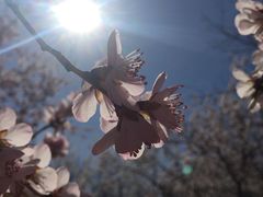 -首都师范大学科德学院