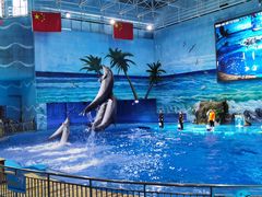 -多彩贵州城极地海洋世界