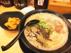 豚骨浓汤面-博多一幸舍(西单大悦城店)