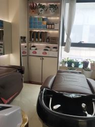 -碧莲盛·不剃发植发