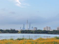 -海珠湖公园