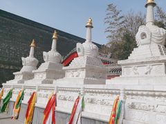 -西安市广仁寺