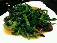 android_upload_pic-闫府私房菜·百年鲁菜(恒隆店)