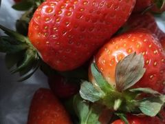 -西北农副产品中心批发市场(广安路店)