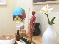 -颜和骨正·明哲式骨相美学整骨
