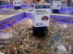 -盒马X会员店(上海森兰商都店)