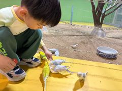 -上海大自然野生昆虫馆(东方明珠·爬宠昆虫探索中心)